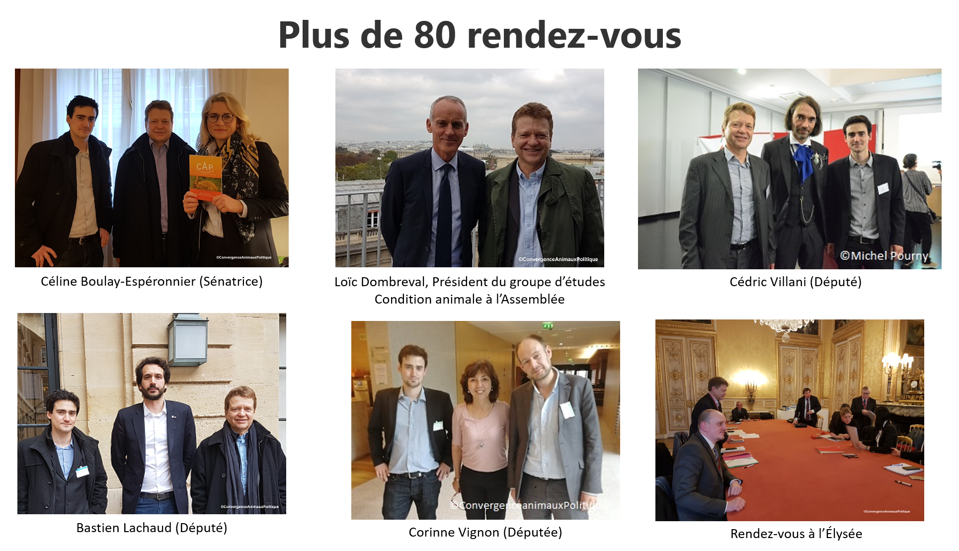 Converger politiques et associations animalistes