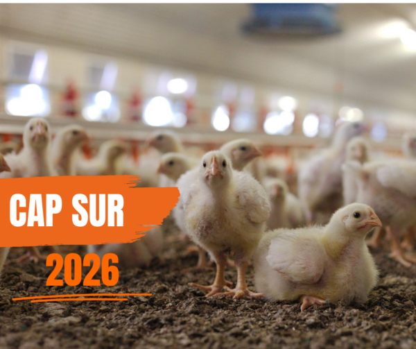 CAP sur 2026 : les enjeux clés de l&rsquo;année