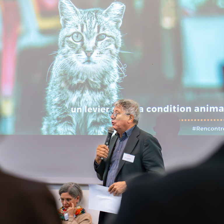 Design sans titre (2)