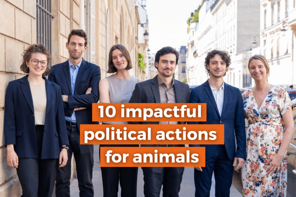8th Year in Review: 10 impactful political actions for animals