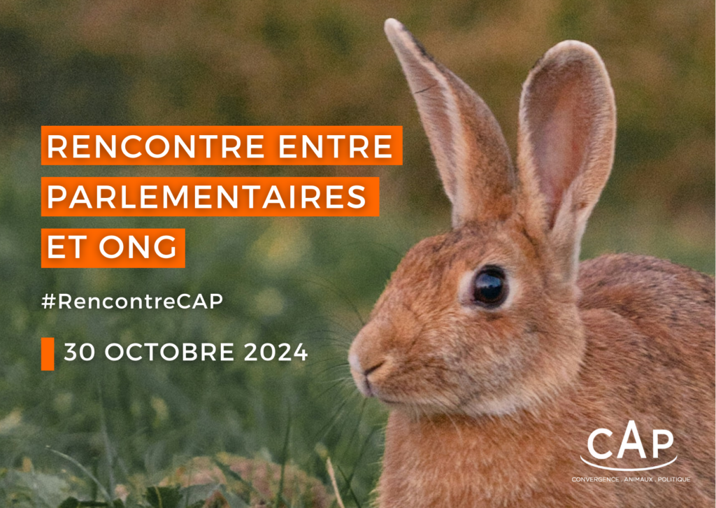 Rencontre CAP du 30 octobre 2024 sur la condition animale