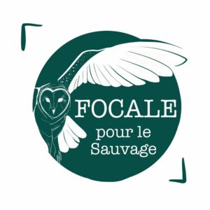FOCALE