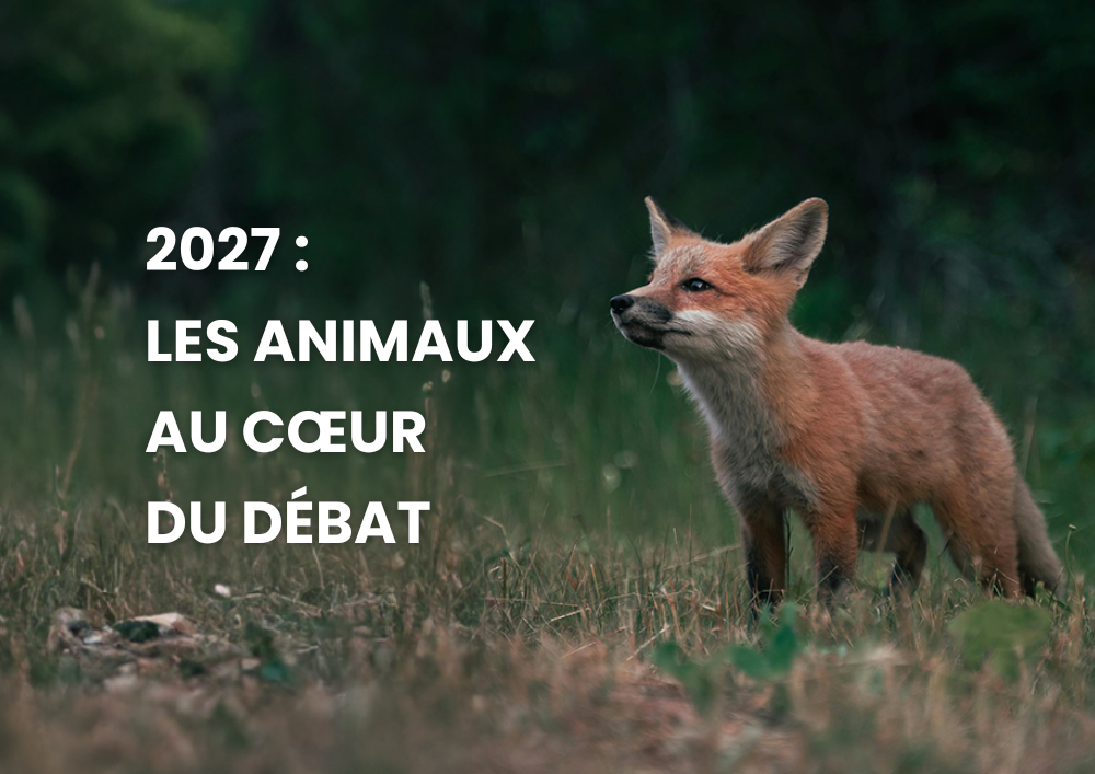 Présidentielle 2027 : les animaux au cœur du débat