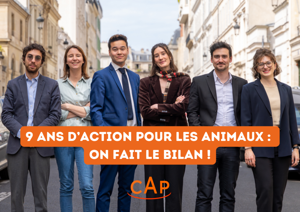 Nos 9 actions politiques clés de l’année