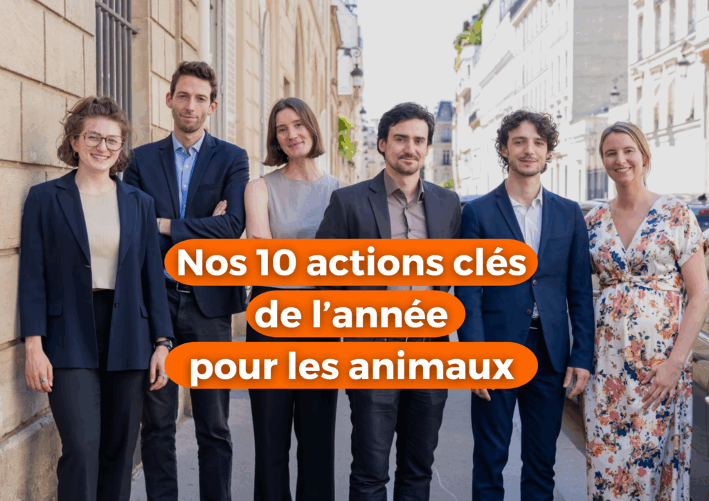 Nos 10 actions politiques clés de l’année