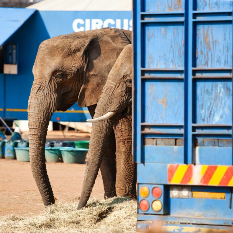 Newsletter CAP - 2026-03-19T151932.880