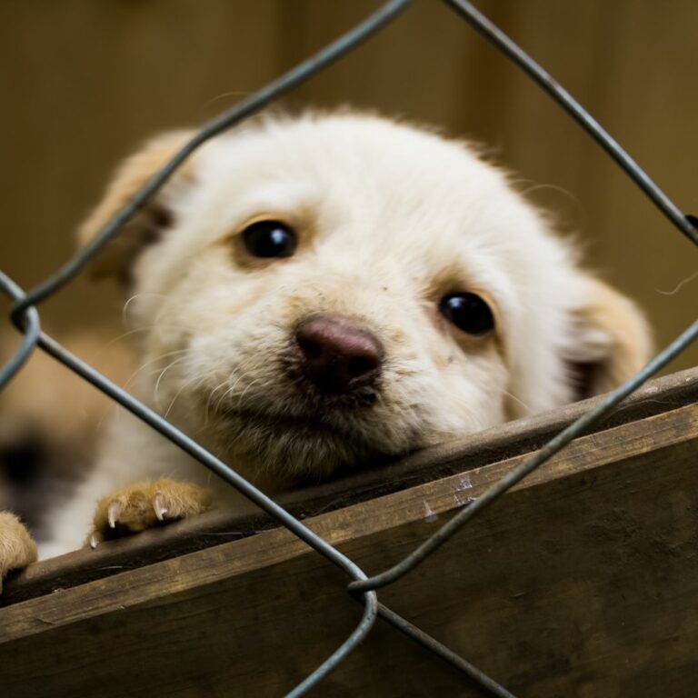 Newsletter CAP - 2026-03-19T152345.554