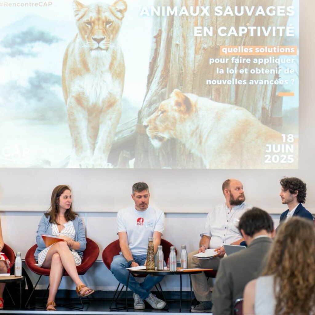 Rencontre CAP 2025