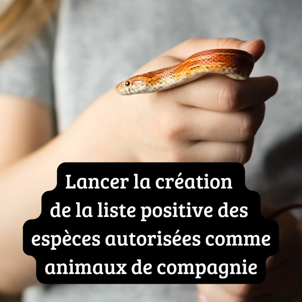 Mesure 2