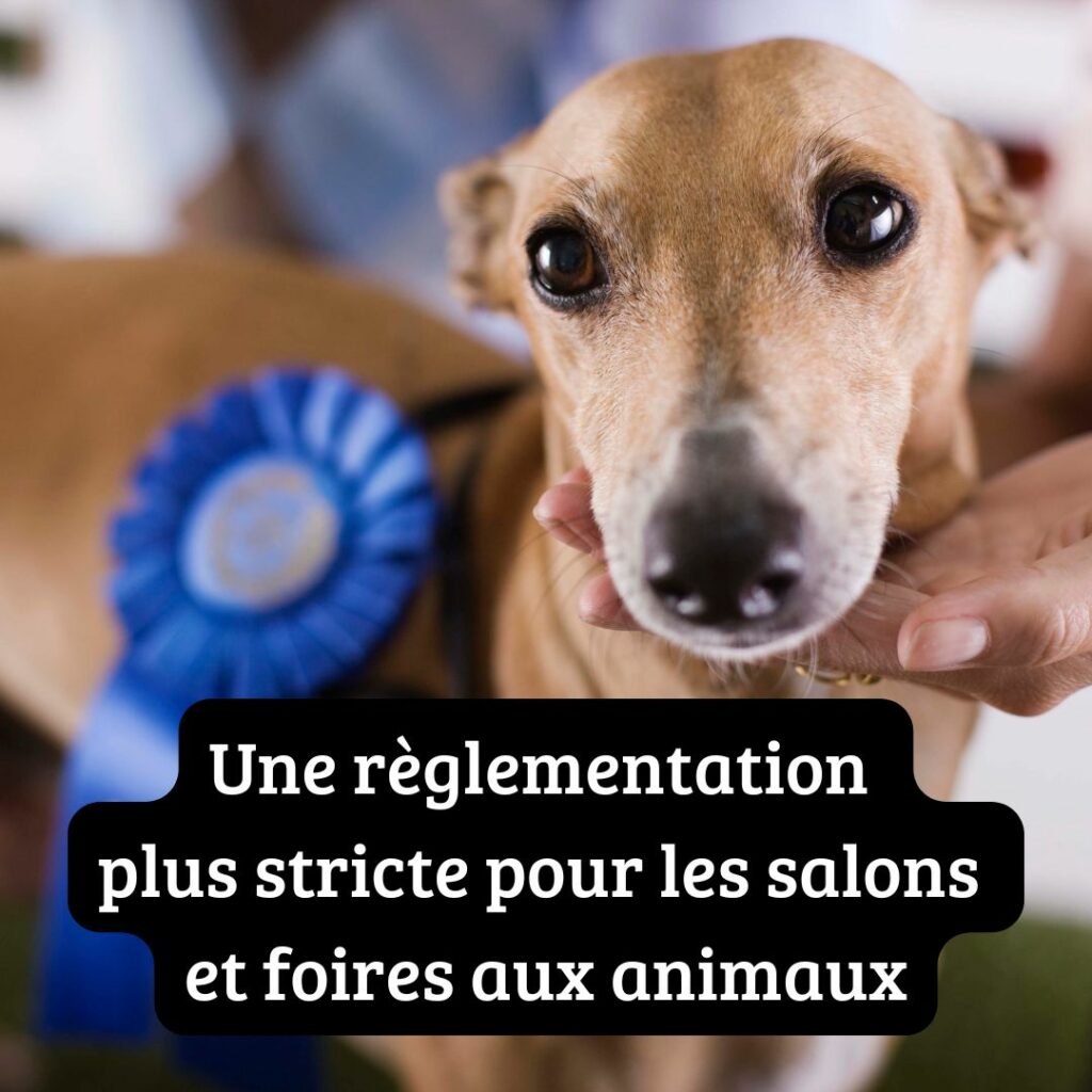 Mesure 6