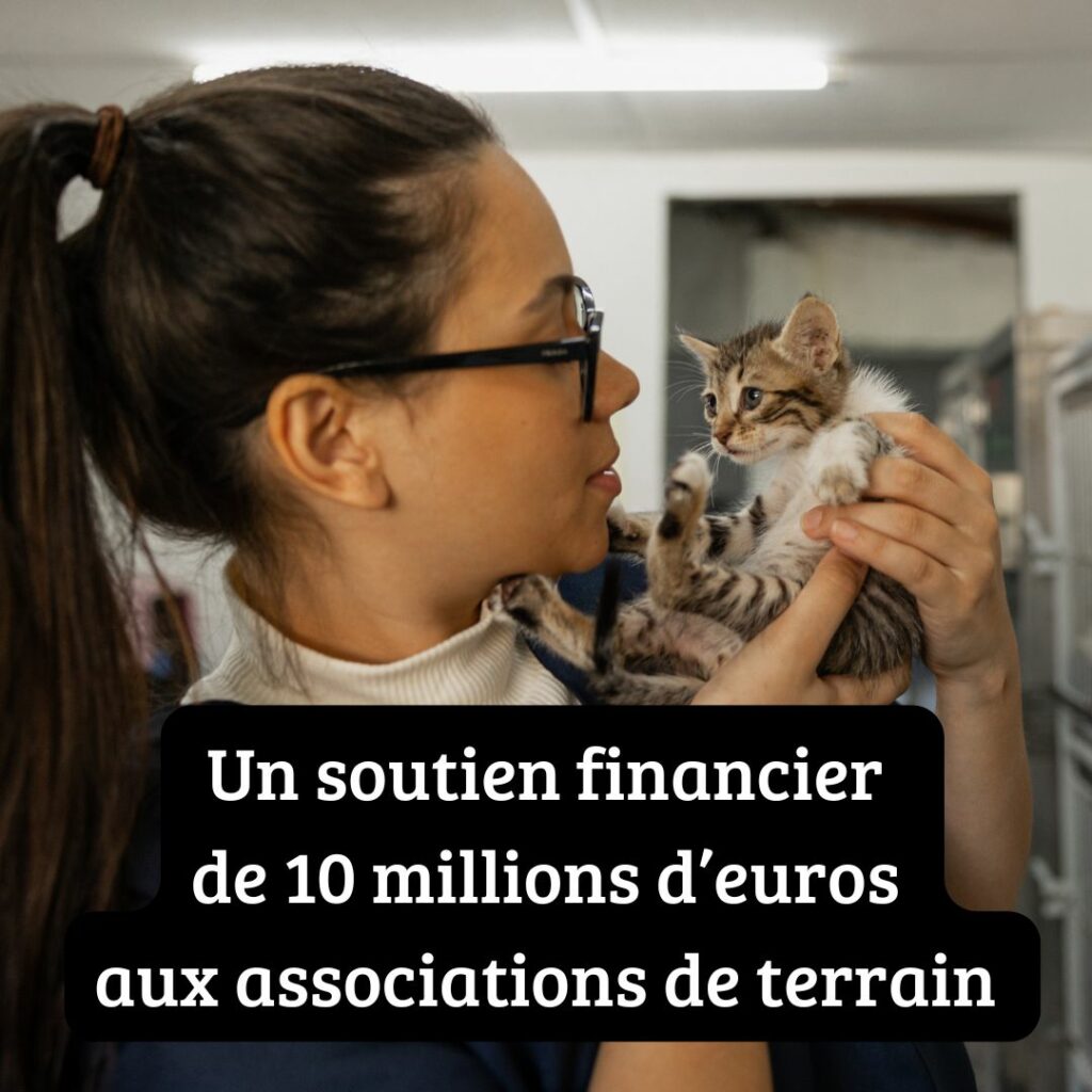 Mesure 7