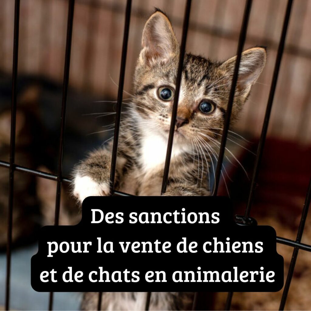 Mesure 5