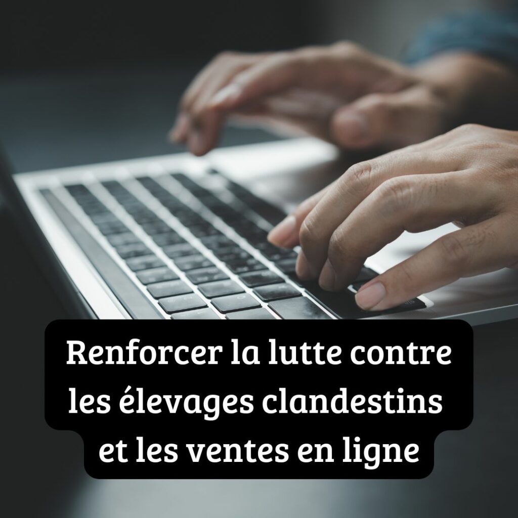 Newsletter CAP - 2026-08-06T175339.467