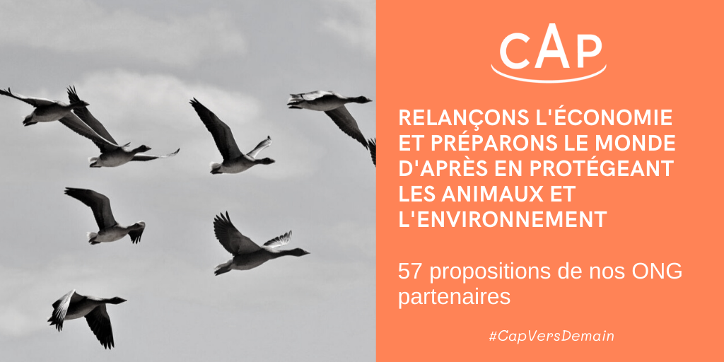 Communiqué de presse – 57 propositions des ONG de CAP