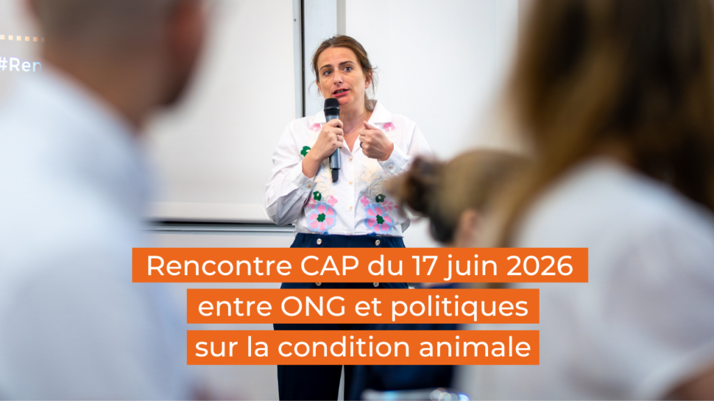 Protection animale : un pari politique gagnant pour 2027