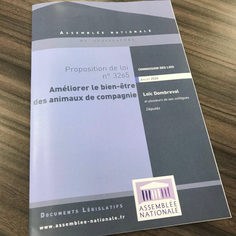 images campagne loi matraitance (3)